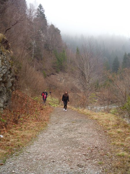 photo8.jpg