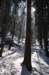 photo14_small.jpg