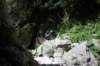 dsc_9568_small.jpg