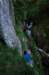 dsc_9646_small.jpg