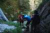 dsc_9651_small.jpg
