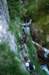dsc_9677_small.jpg