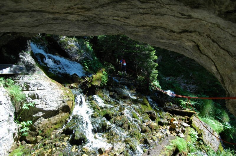 dsc_9740.jpg