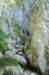 dsc_9748_small.jpg