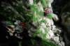 dsc_9767_small.jpg