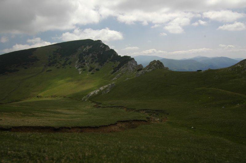 dsc_9813.jpg